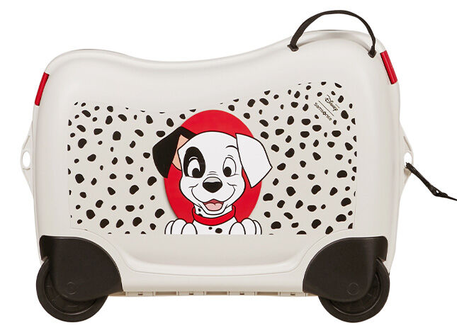 Multifunctional leash