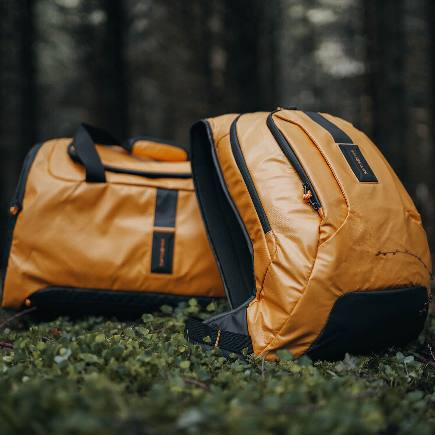 paradiver light laptop backpack