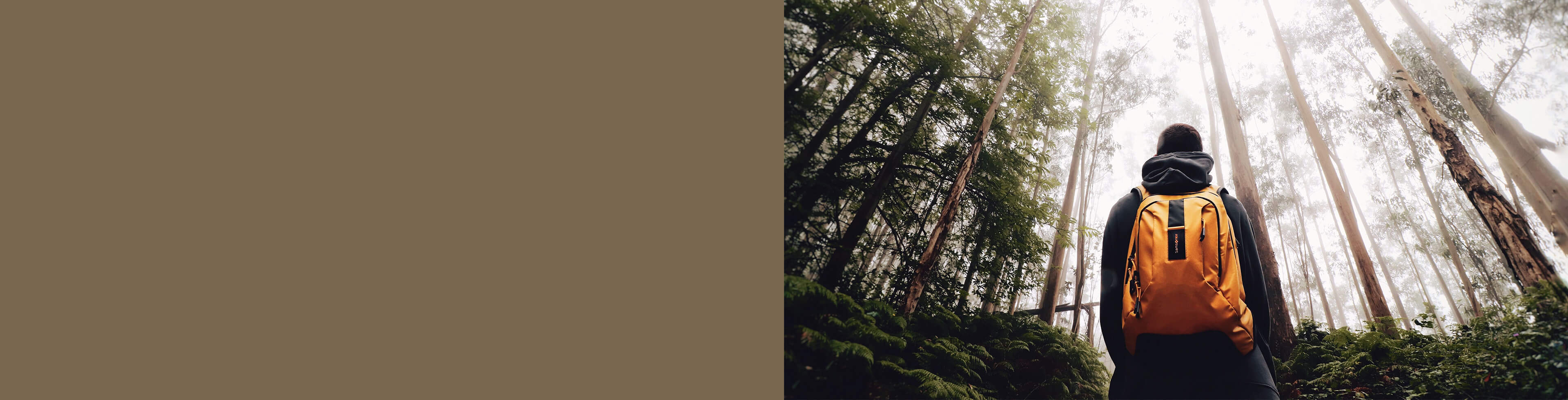 samsonite paradiver light 24l